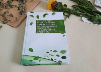 Alimlər dərman yaratmaq üçün perspektivli olan 120 bitki növünü müəyyən ediblər