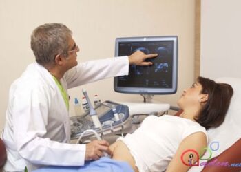 Scientists at the University of Michigan create a detailed atlas of ovarian cells