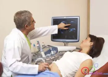 Miçiqan Universitetinin alimləri yumurtalıq hüceyrələrinin ətraflı atlasını yaradırlar